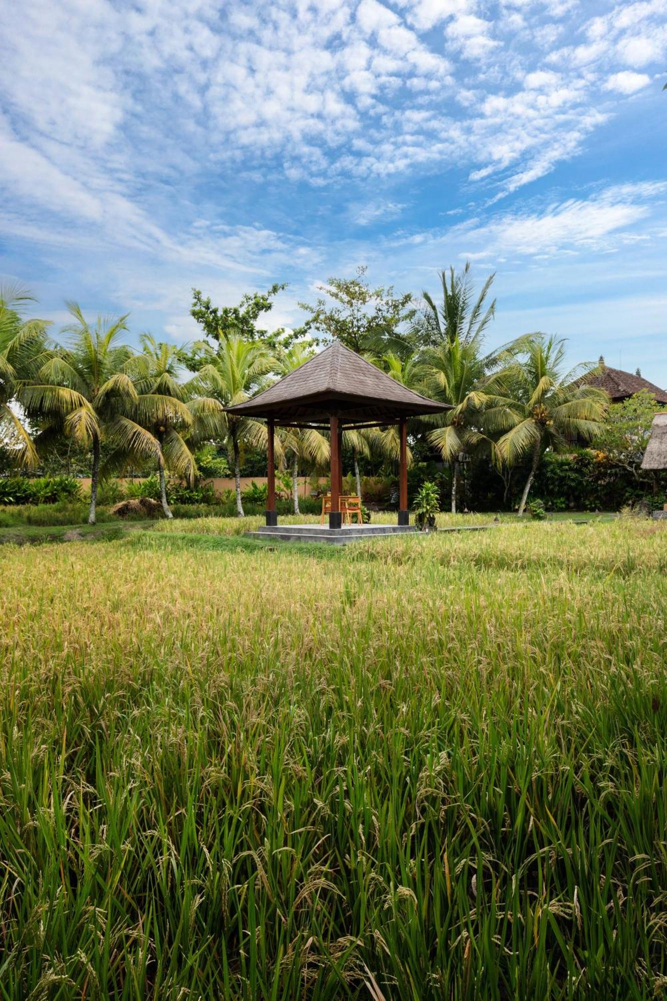 Svarga Bebek Villas Ubud Exteriör bild
